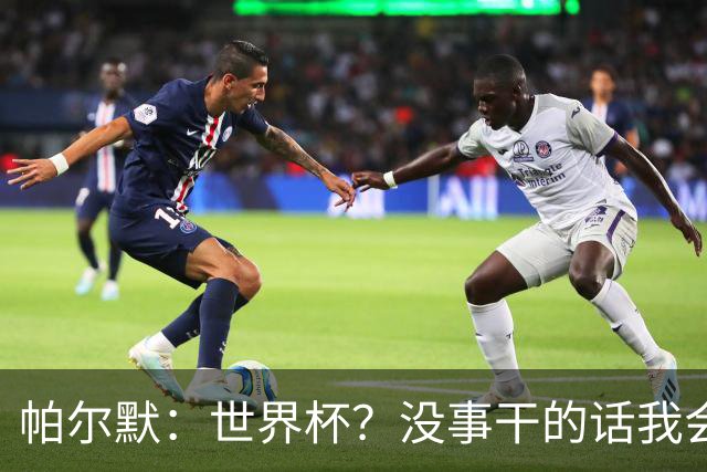 帕尔默：世界杯？没事干的话我会看看，我希望他们能走到最后