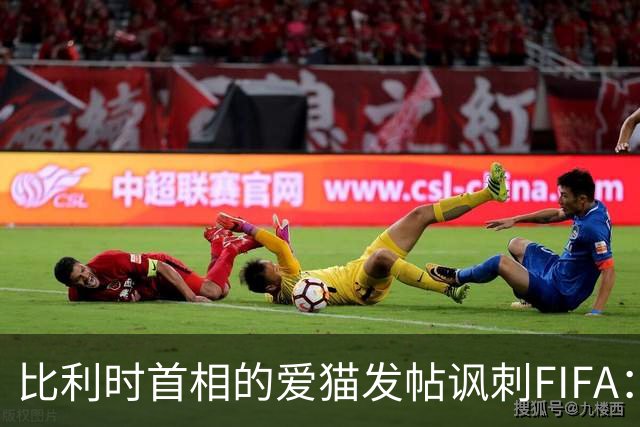 比利时首相的爱猫发帖讽刺FIFA：“红牌？”我照样继续踢！