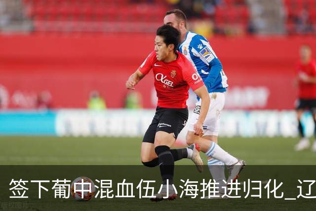 签下葡中混血伍小海推进归化 辽宁铁人中甲冲浪