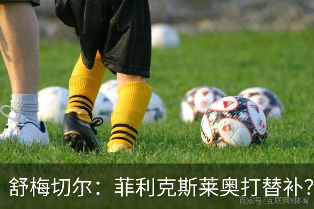 舒梅切尔：菲利克斯莱奥打替补？马丁内斯毁了比利时又来毁葡萄牙