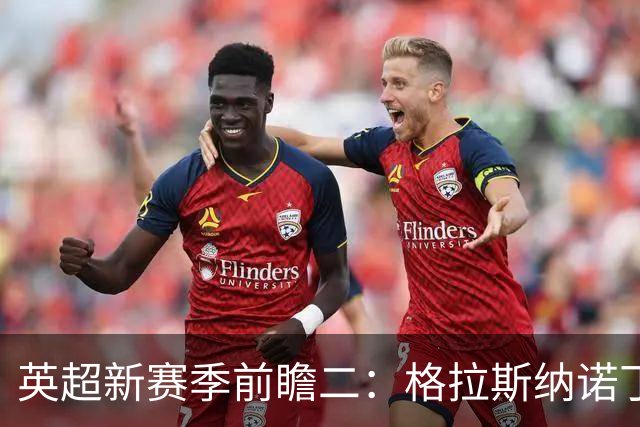 英超新赛季前瞻二：格拉斯纳诺丁汉森林，杯赛或成新赛季突破口！
