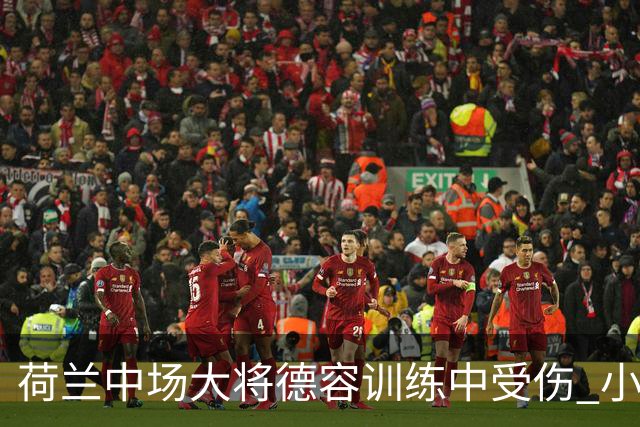 荷兰中场大将德容训练中受伤 小组赛次轮出战成疑