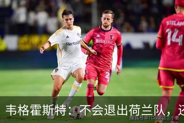 韦格霍斯特：不会退出荷兰队，还要继续证明自己